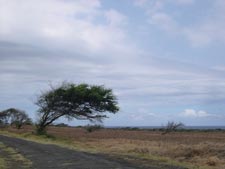 South Point Hawaii