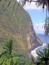 Waimanu Valley Ocean Cliffs - The big island, hawaii