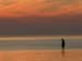 manincapecodbay