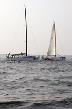 team alinghi sails into newport