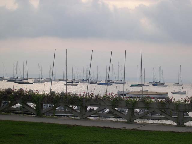 DSCN0972