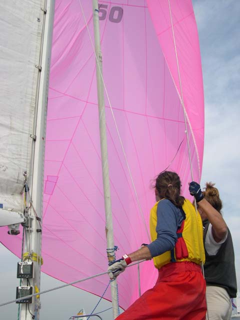 DSCN0984